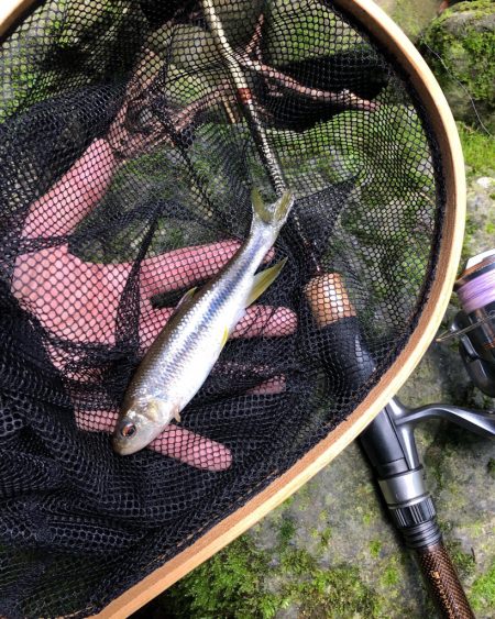 チャビング流行らせ隊