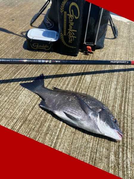 振り返ってみれば