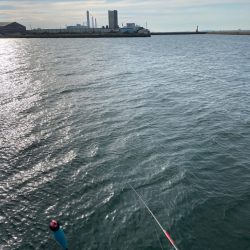 涼を求めて夕まづめに❗️