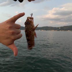 友達とガシリング