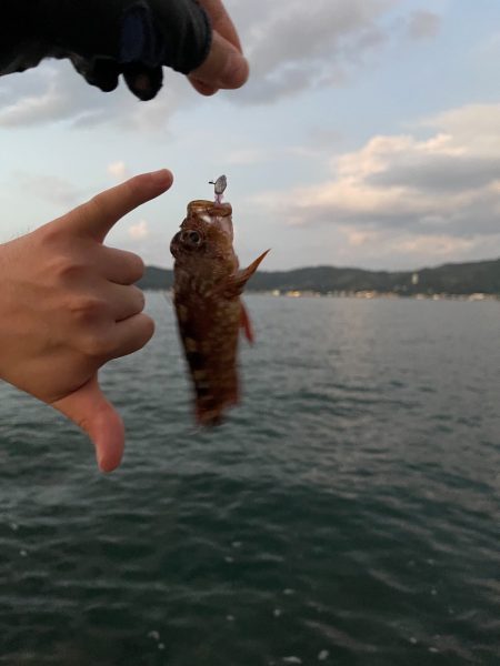 友達とガシリング