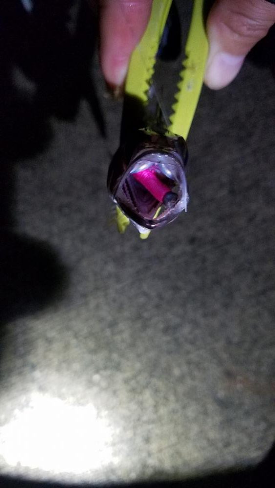 ムツムツムツ😊