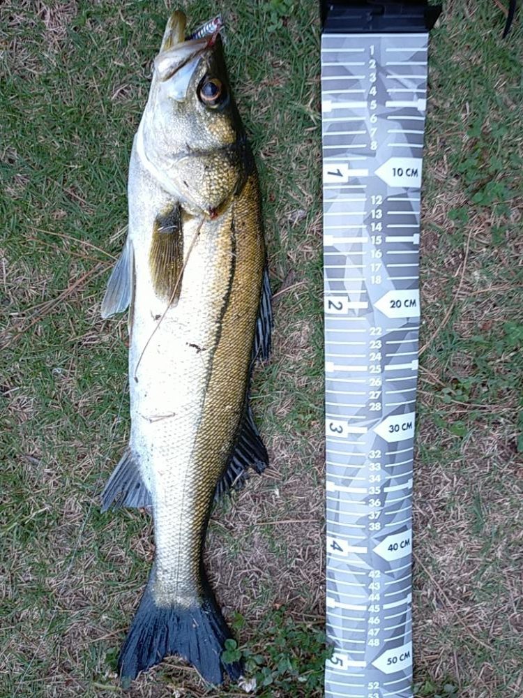 閑散とした夕マヅメに