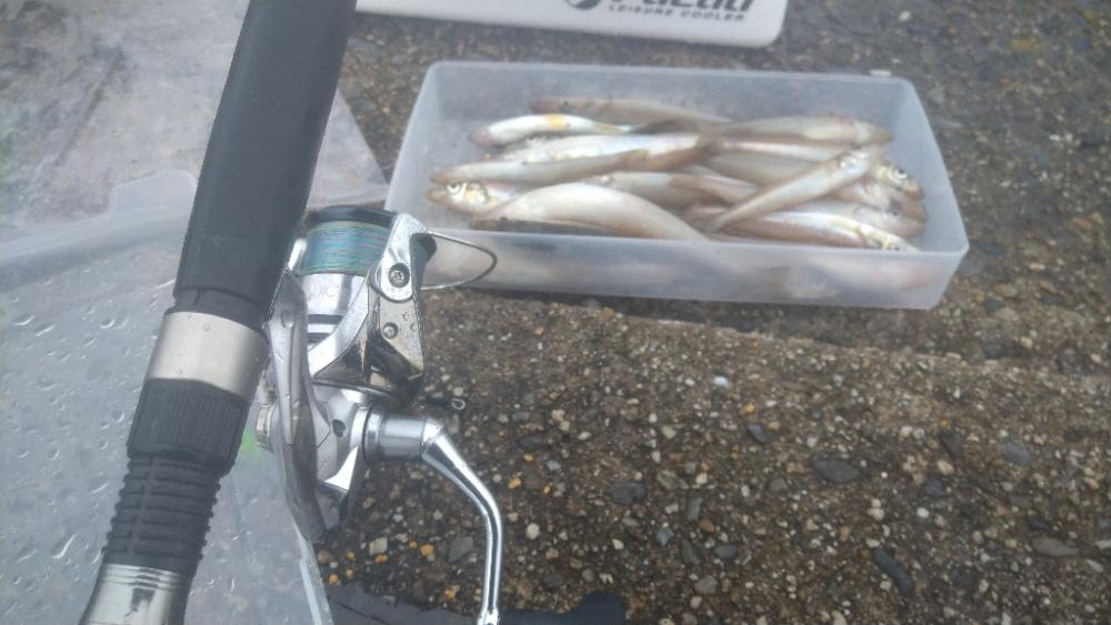 チョイ投げでキス釣り