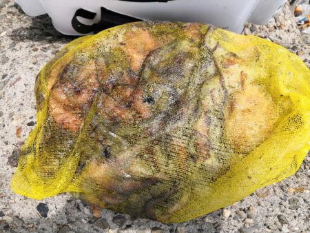 オクトパッシング 8