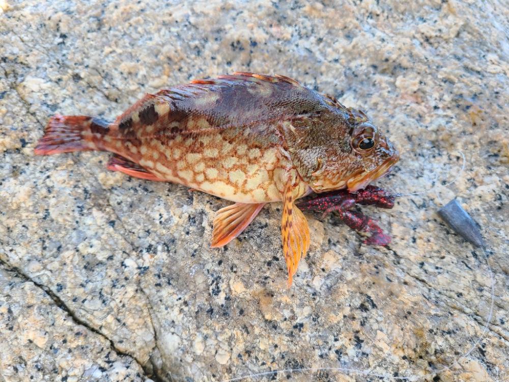 なかなか厳しい