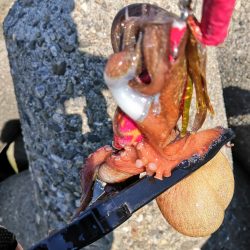 オクトパッシング 4