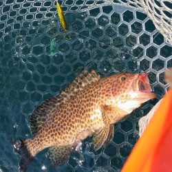 三重県レンタルボート