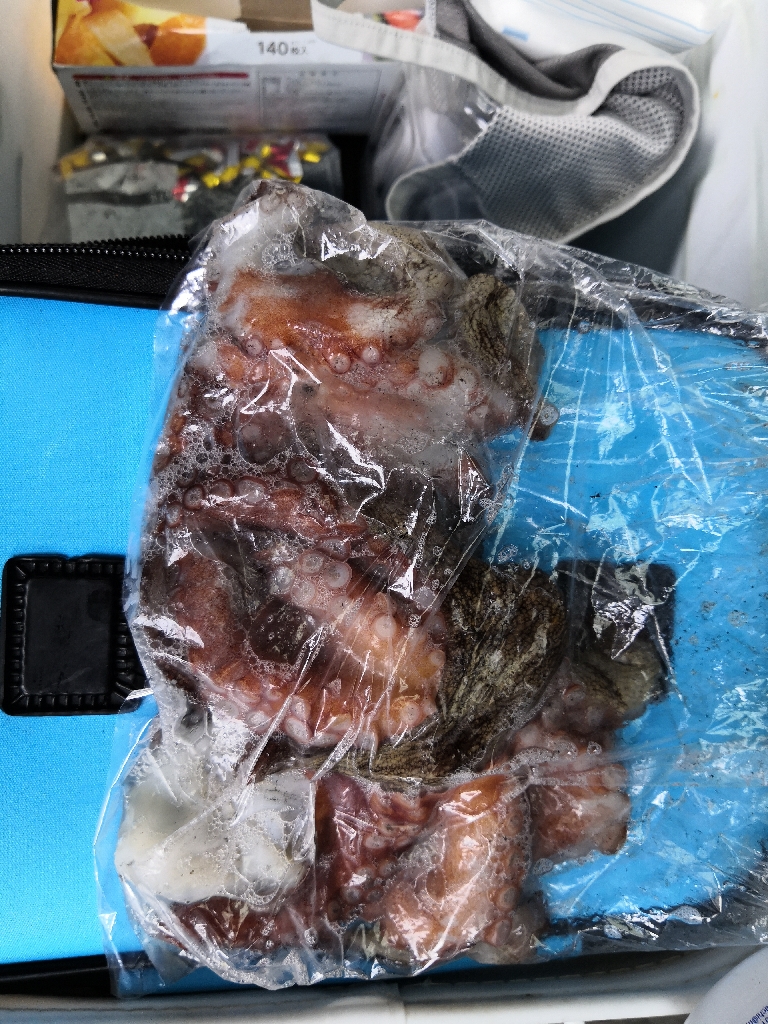 オクトパッシング 6