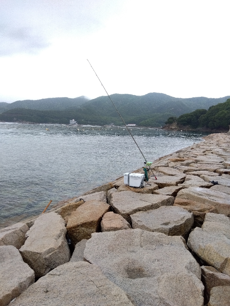 室津のキス釣り