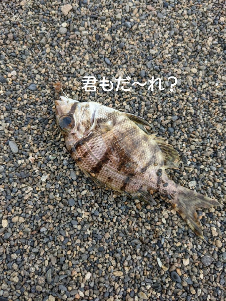サーフでのんびりが豪雨に見舞われ…