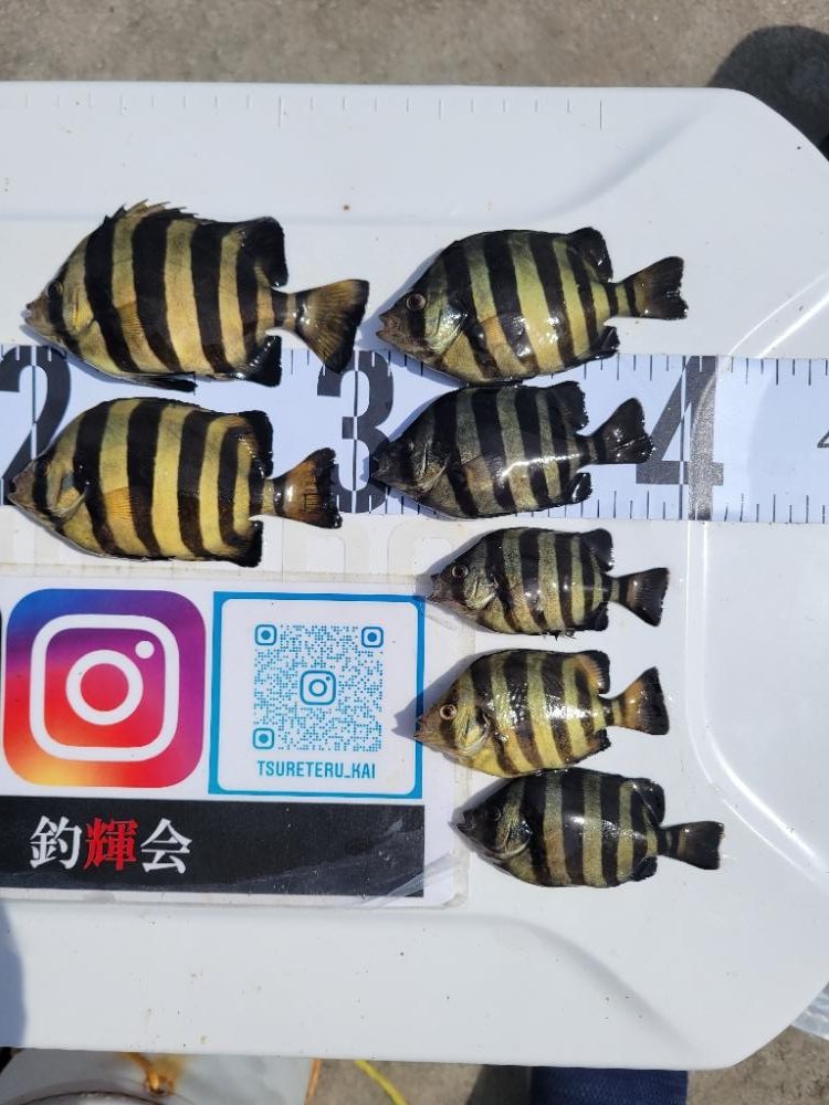 暑すぎて釣れる気がしない☀️😵💦