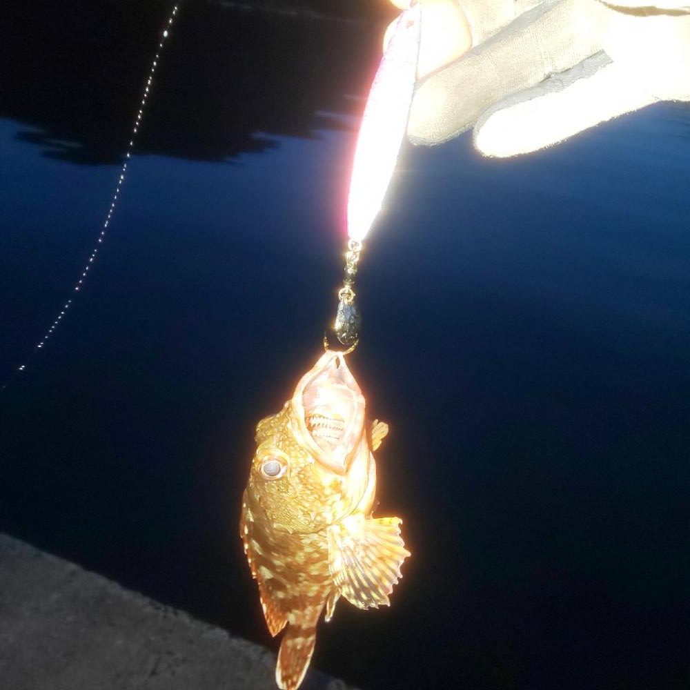 ﾀﾞｲｿｰｼﾞｸﾞ良い仕事しますね〜