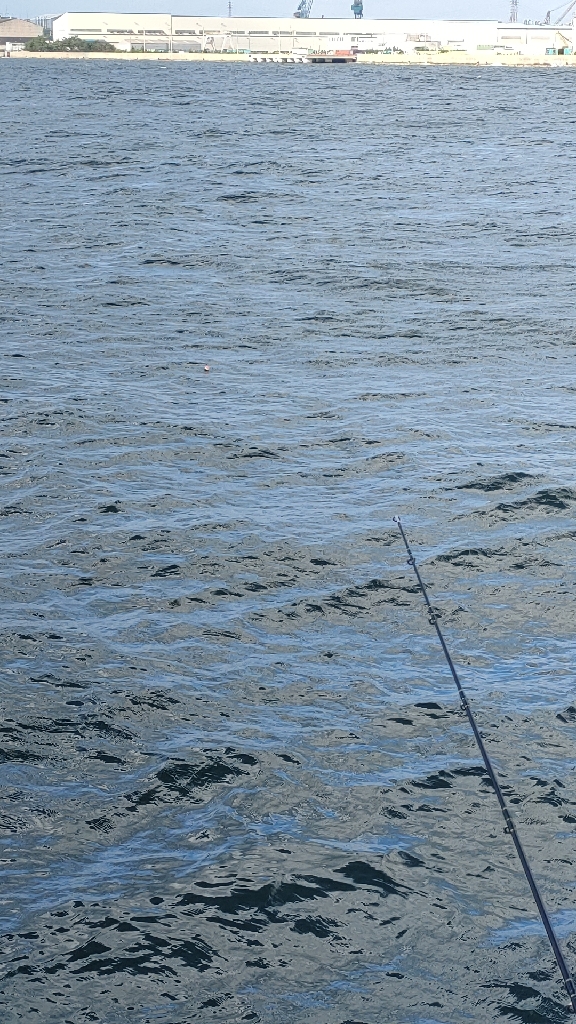 サビキでアジ狙い