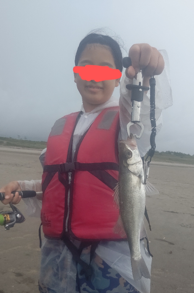 マゴチとセイゴとキビレ