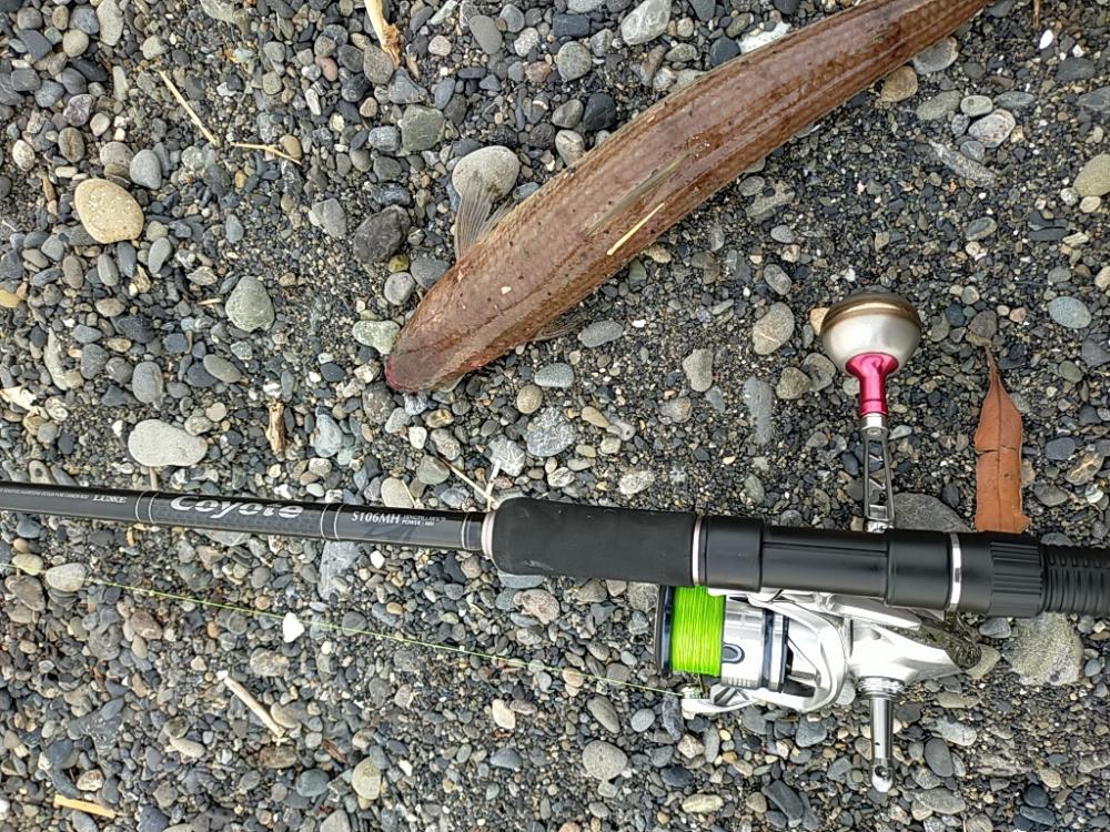 酷暑の夕マヅメ