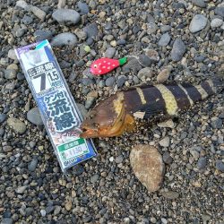 砂浜で短時間キス狙い！