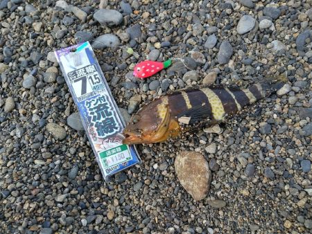 砂浜で短時間キス狙い！