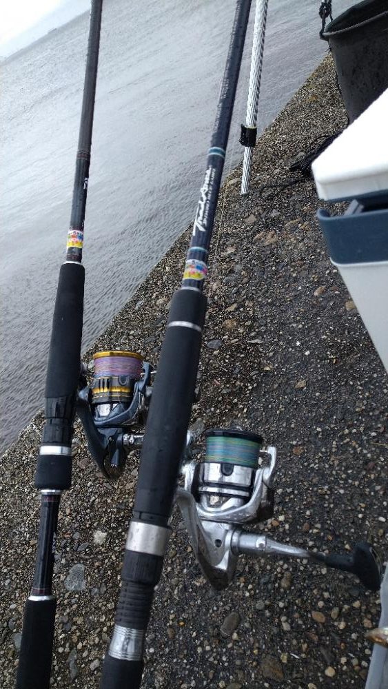 チョイ投げ〜激濁り編〜