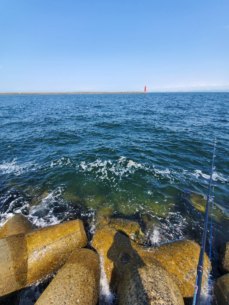 テトラ帯の方がマシみたい