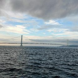 アオリイカ狙いで釣れたのは剣先イカ？