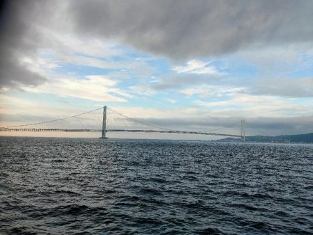 アオリイカ狙いで釣れたのは剣先イカ？