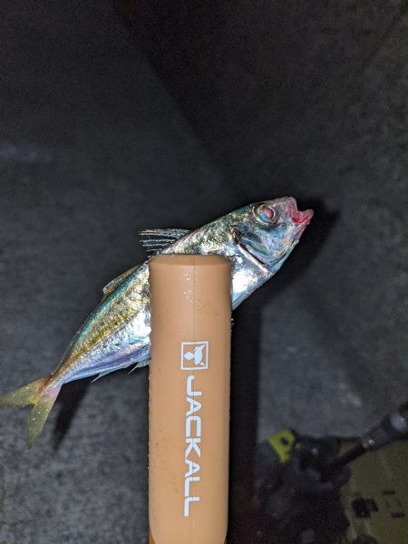 久々のエリアで久々のライトゲーム