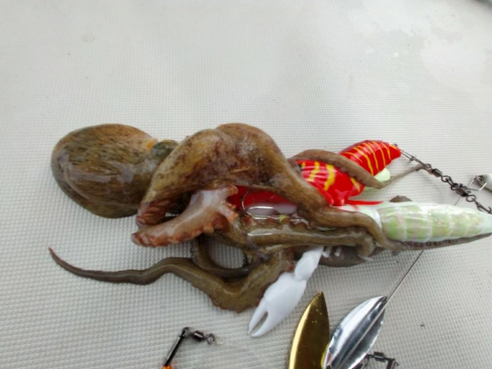 松山お【ぷりぷりタコエビ】真蛸