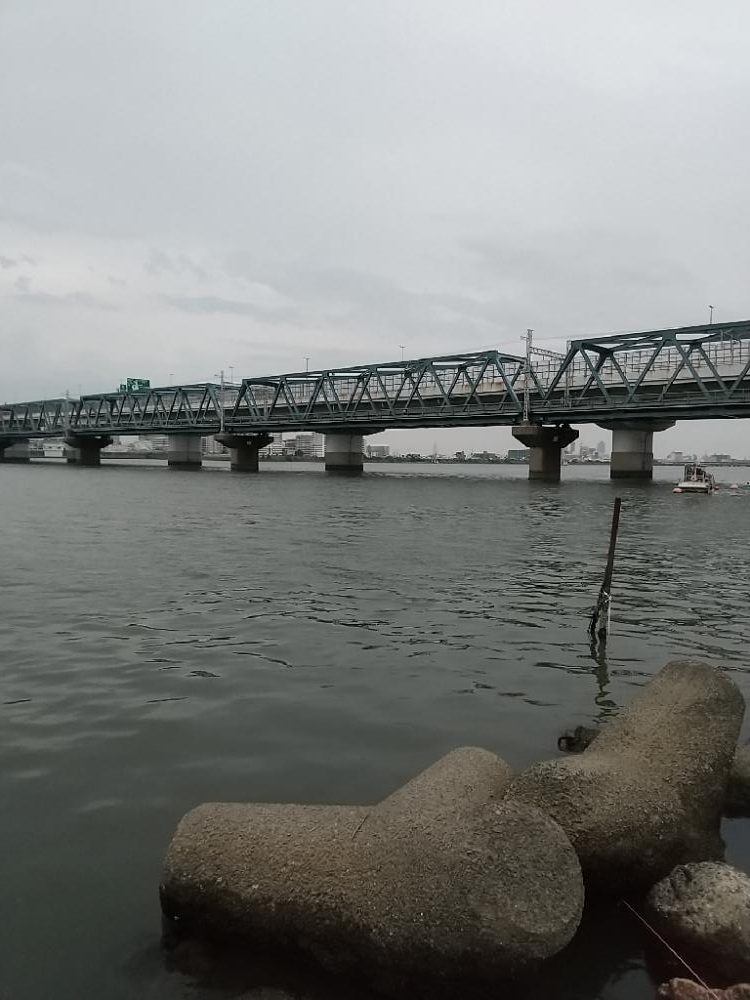 淀川えびリベンジ撃沈からのウロハゼ