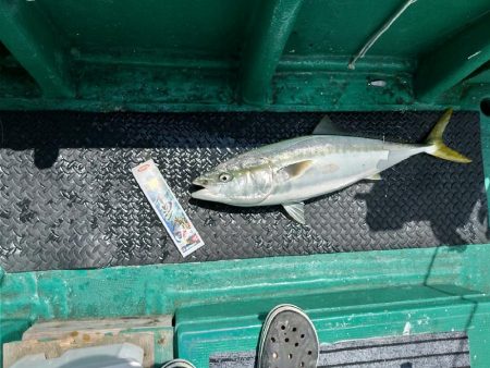 落とし込み(アンダーベイト)