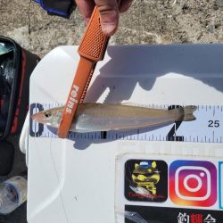 自己ベスト更新!