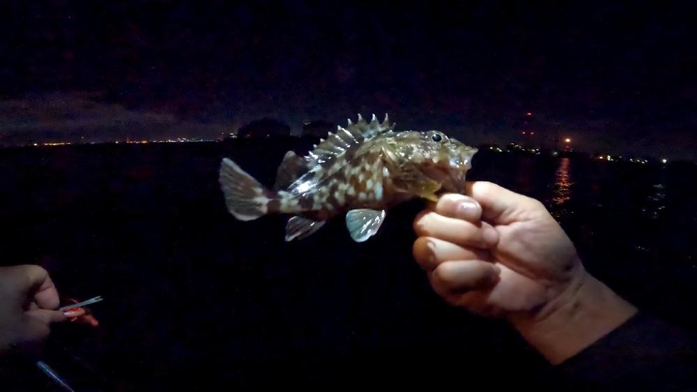 デッカサゴ！！！