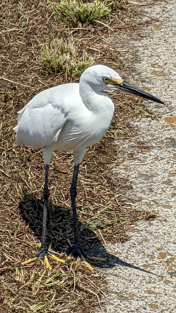 今期の旧中はいいです