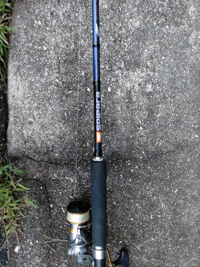 ナブラ撃ちでサゴシ2匹!!