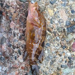 なかなか厳しい