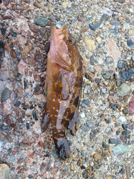 なかなか厳しい