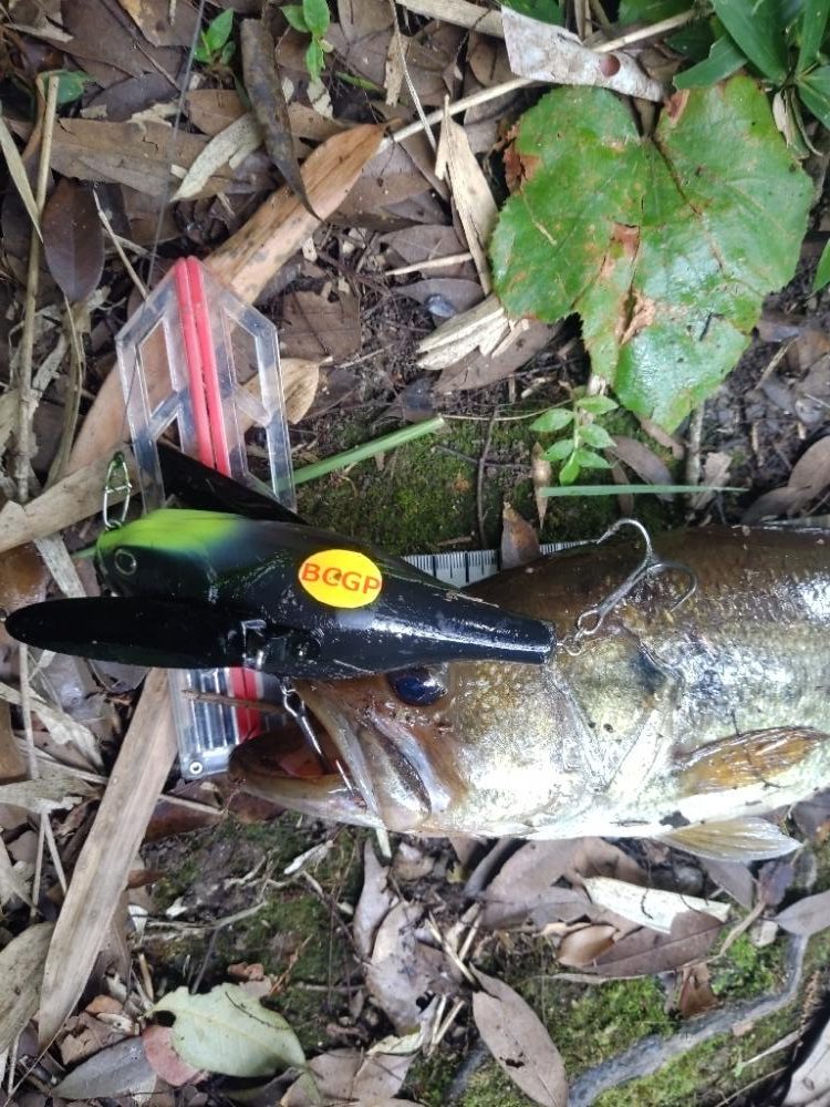 雨の朝は・・・