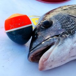 車横付けでサクッと!