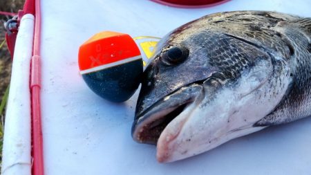 車横付けでサクッと!