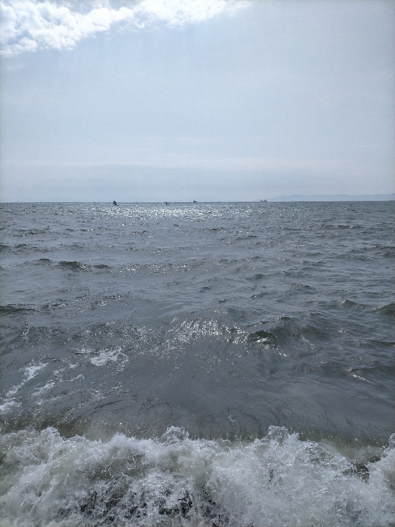 シロギス 大漁!