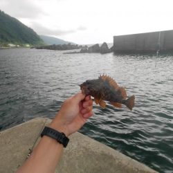 釣りと趣味のKちゃんねる　キス釣り