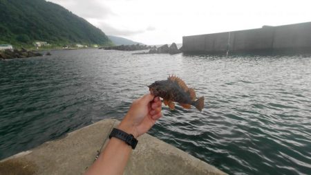 釣りと趣味のKちゃんねる　キス釣り