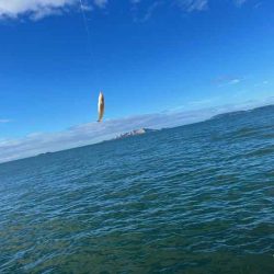 激渋からポイント移動で好調に！