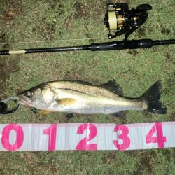 ががっときました。