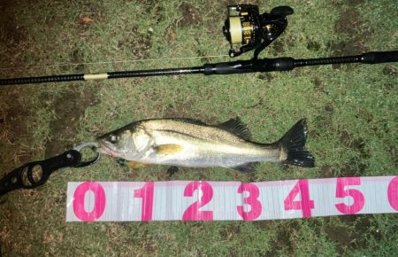 ががっときました。