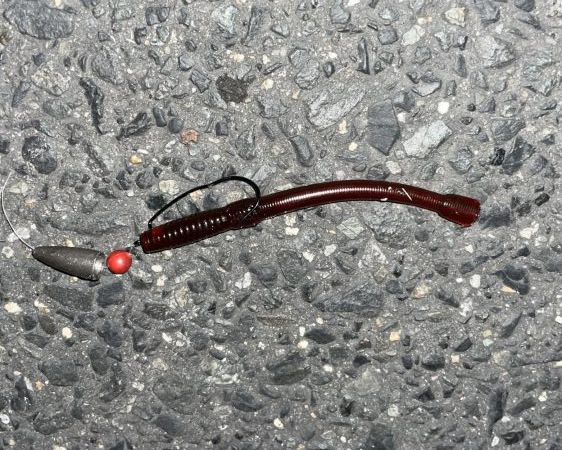 久しぶりのチヌゲー