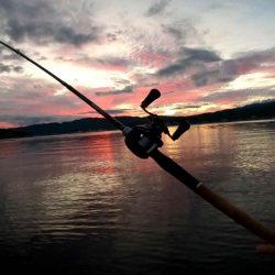 フリリグでチニング