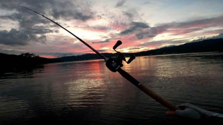 フリリグでチニング