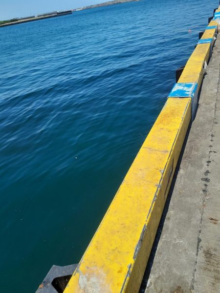 尺アジ釣れず😅