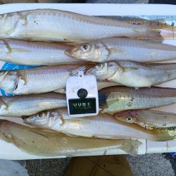 最後に帳尻合わせ